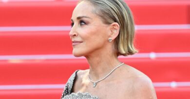 Sharon Stone révèle avoir été agressée, dix ans après l'incident.
