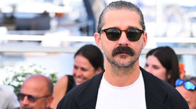 Shia LaBeouf plaide coupable pour coups et blessures après bagarre.