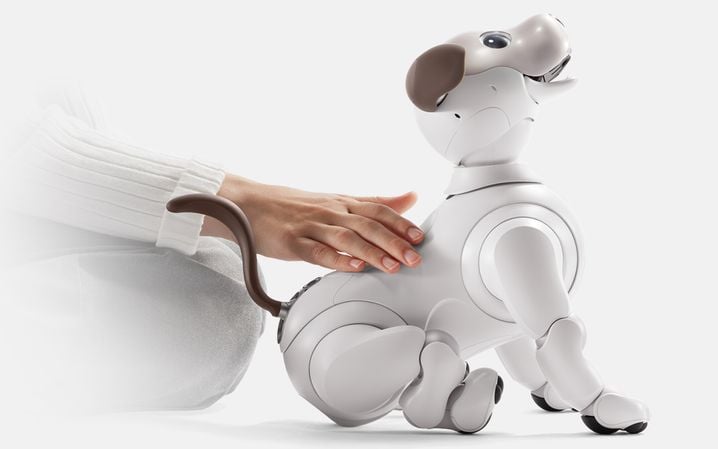 On peut trouver Aibo, le robot chien de Sony sur le marché de l'occasion autour de 1.000 euros.
