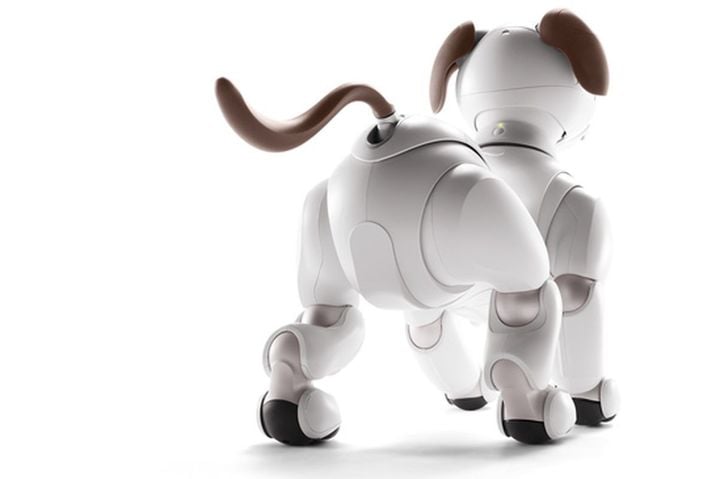 Aibo (ERS-1000), le chien robot lancé par Sony en 2018, tire sa révérence.