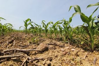 « Tensions autour d'un texte anti-pesticides en Bretagne : "C’est absolument scandaleux" »