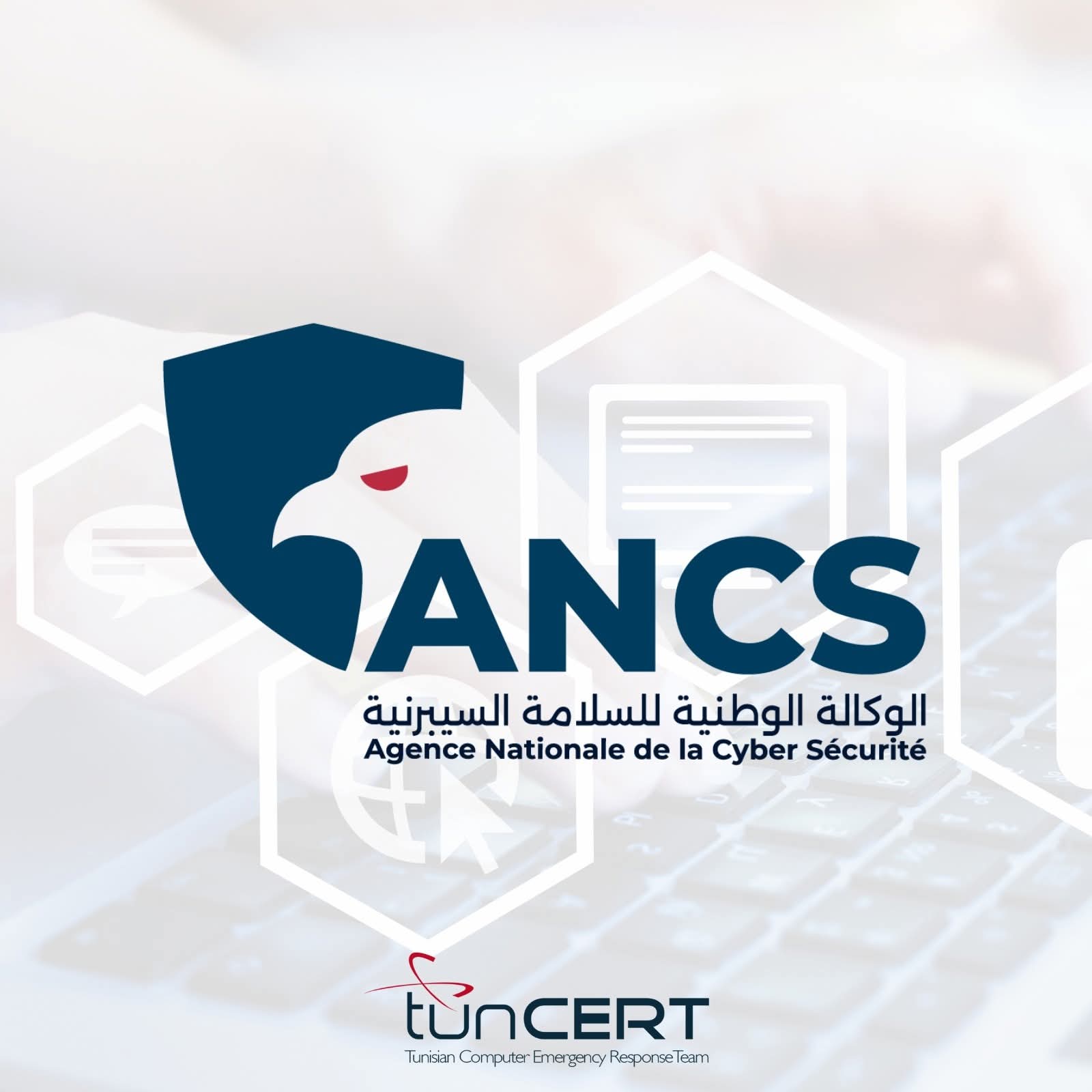 Tunisie : alerte sur un site frauduleux imitant des plateformes officielles