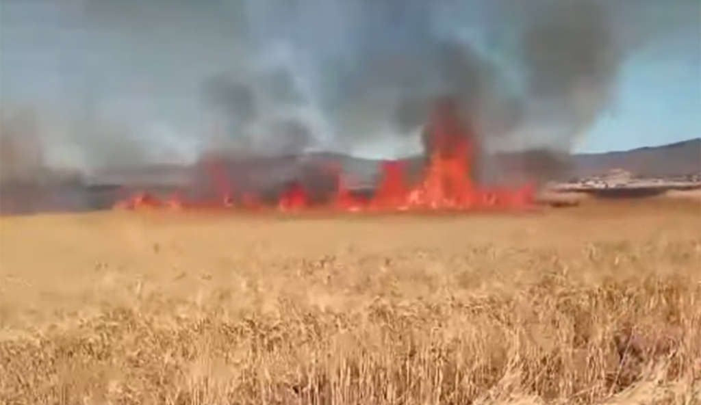 Tunisie : les agriculteurs ne reçoivent pas d’indemnisation pour les incendies