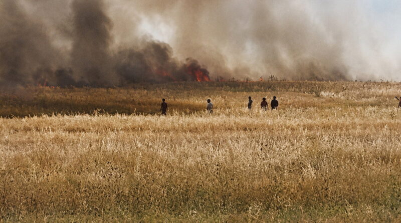 Un incendie destructeur ravage 10 hectares de cultures à Balta-Jendouba.
