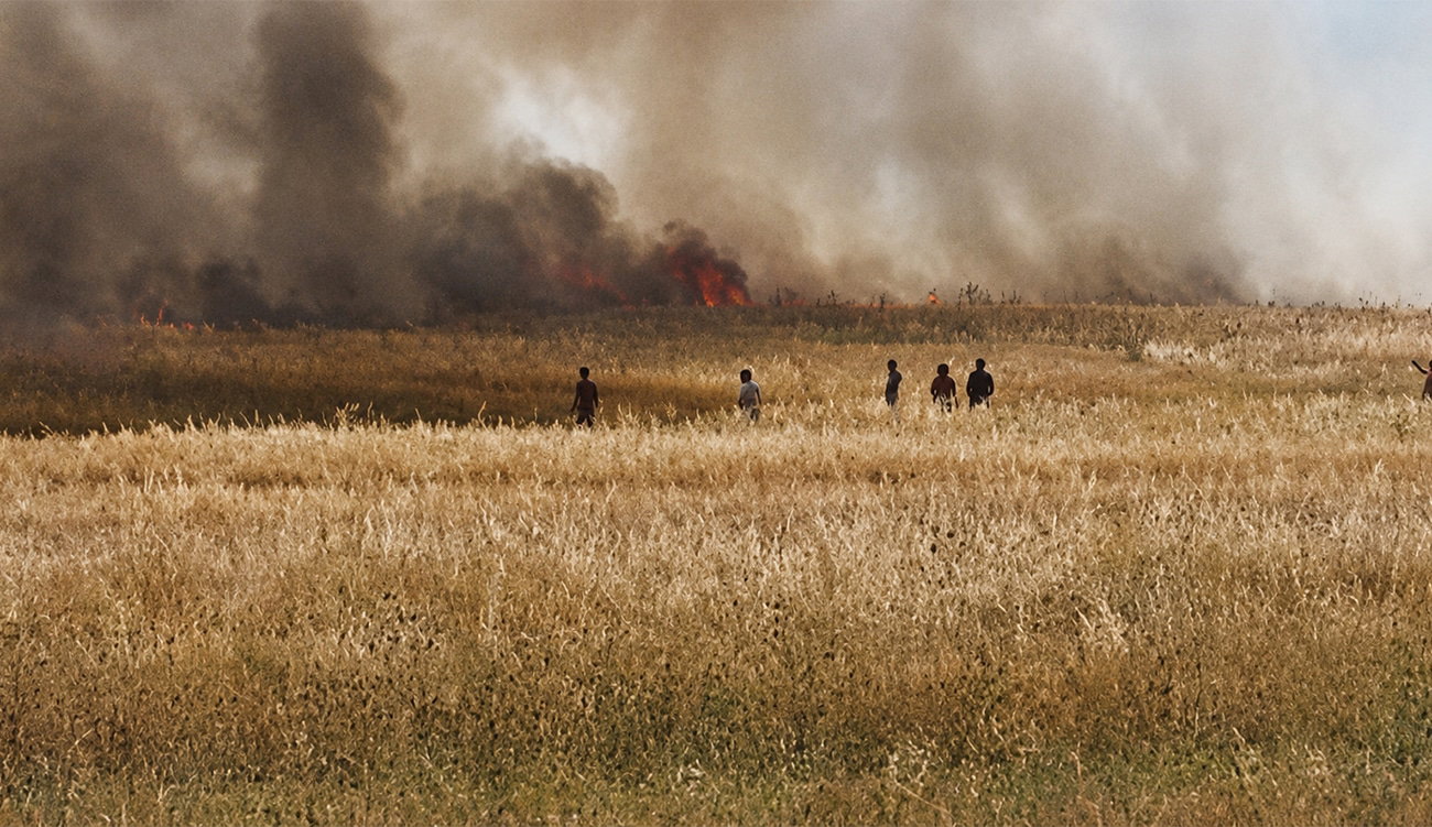 Un incendie destructeur ravage 10 hectares de cultures à Balta-Jendouba.