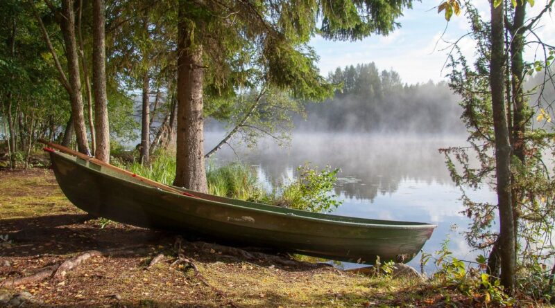 Un lingot d’or de 20.000 euros caché en Finlande, recherche pour touristes