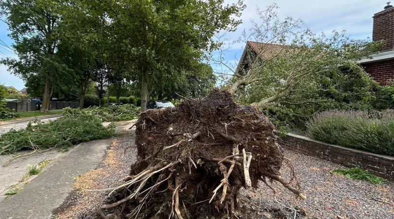 Une tornade traverse Honnelles : "c’est un peu la catastrophe".