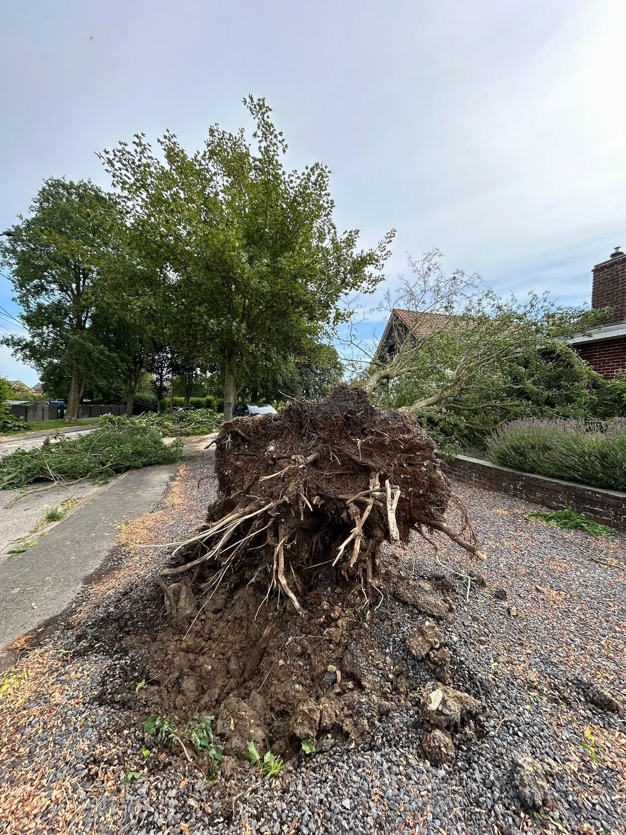 Une tornade traverse Honnelles : "c’est un peu la catastrophe".