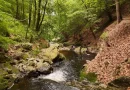 Vague de chaleur : faut-il s’inquiéter pour nos cours d'eau ?