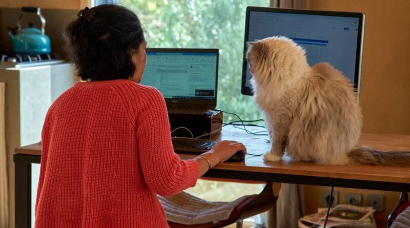 Votre patron ne veut pas le télétravail ? Il est probablement narcissique.