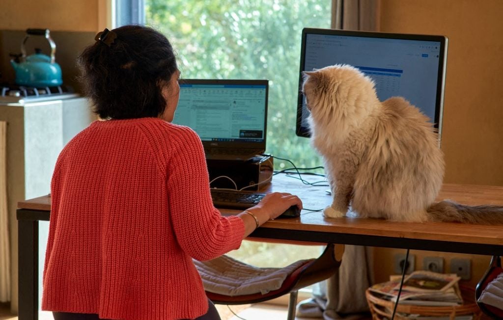 Votre patron ne veut pas le télétravail ? Il est probablement narcissique.
