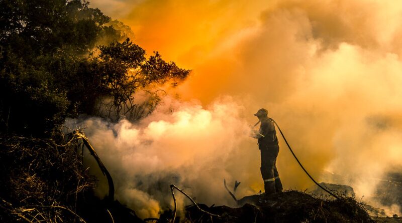 200 hectares détruits par des feux de forêts depuis début été