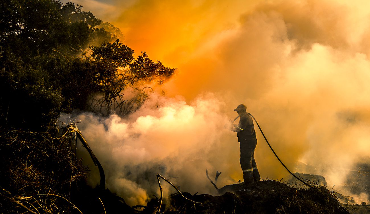 200 hectares détruits par des feux de forêts depuis début été
