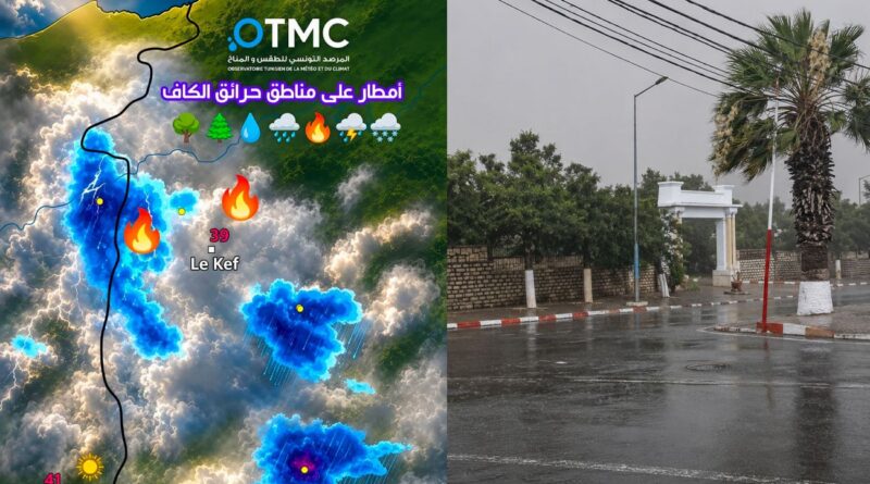 À la frontière tuniso-algérienne, la pluie met fin à la canicule et aux incendies
