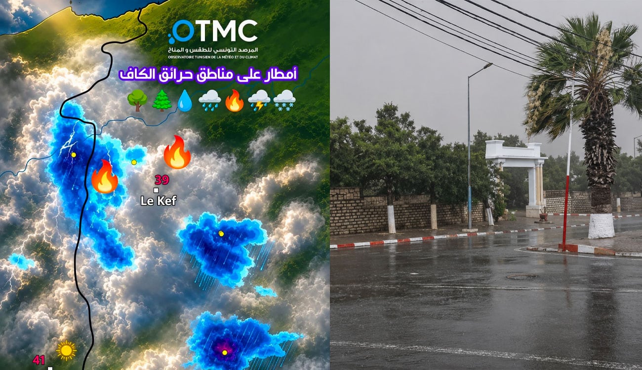 À la frontière tuniso-algérienne, la pluie met fin à la canicule et aux incendies