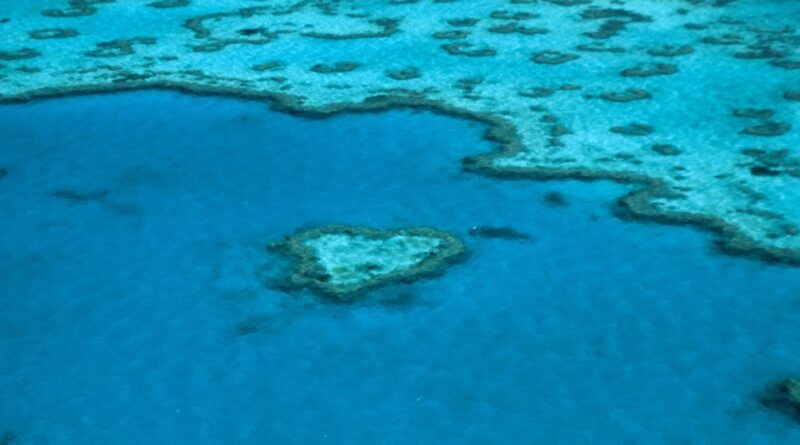 Australie : L'Unesco alerte sur l'état préoccupant de la Grande Barrière de corail
