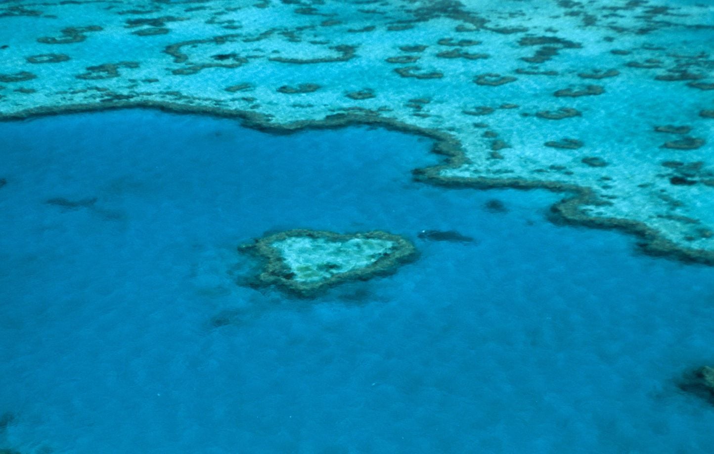 Australie : L'Unesco alerte sur l'état préoccupant de la Grande Barrière de corail