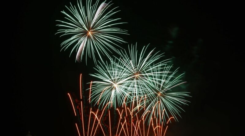 « Beaucoup d’entreprises pourraient déposer le bilan : la profession d’artificier en danger ? »