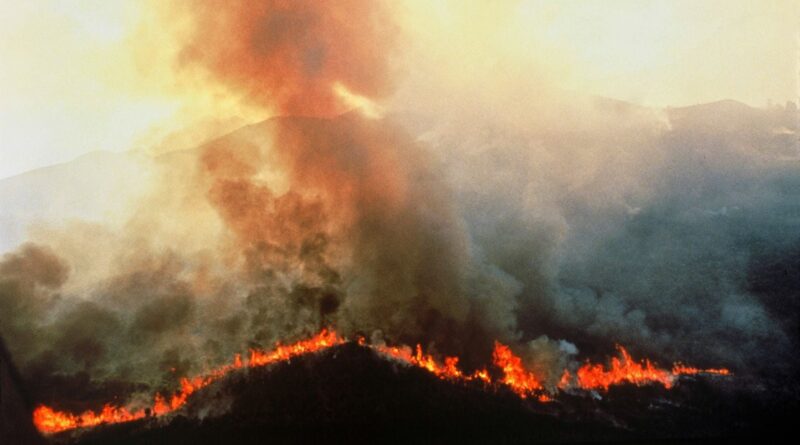 Brésil : Incendies en Amazonie atteignent un niveau historiquement bas en 2025