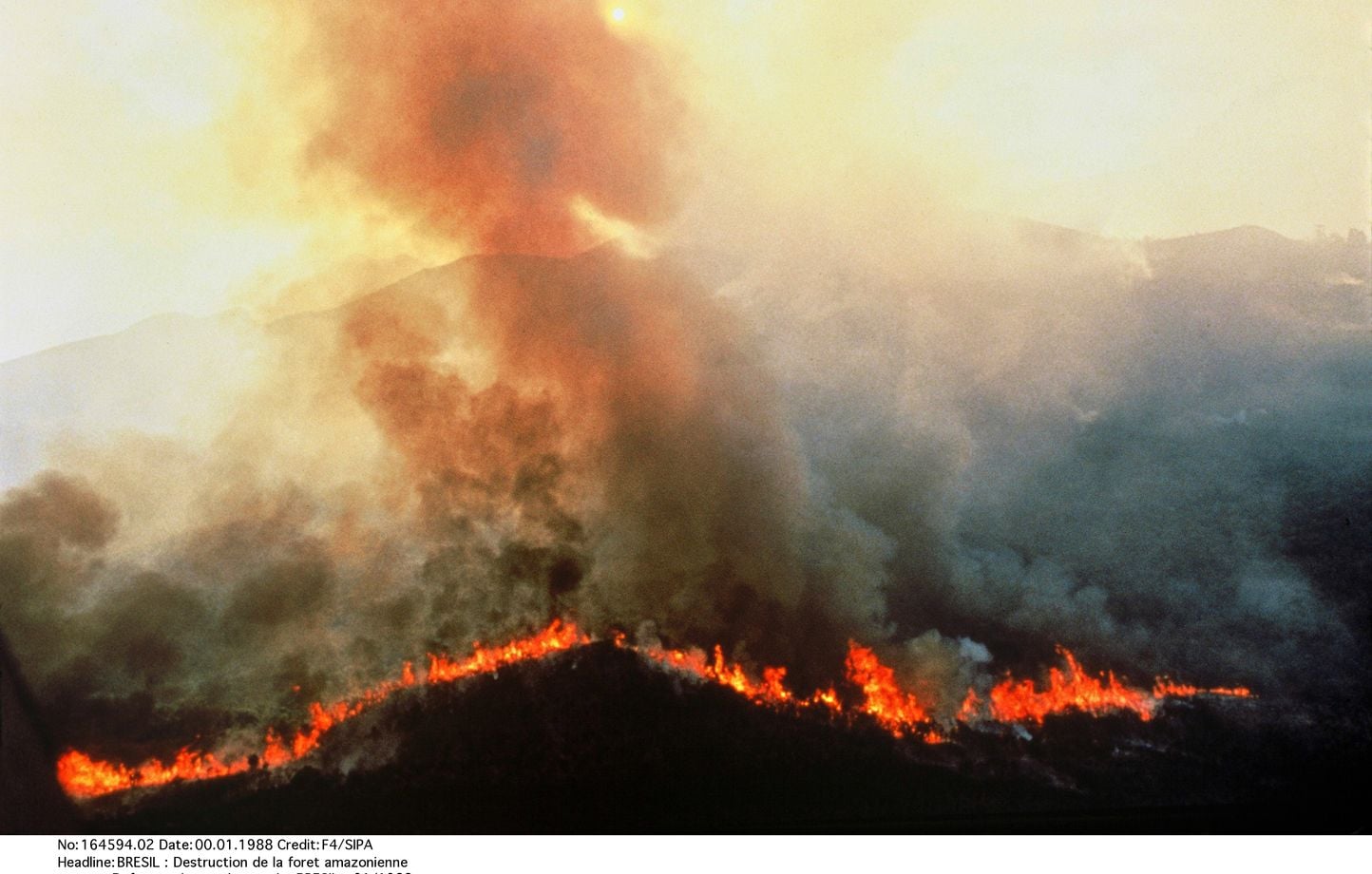 Brésil : Incendies en Amazonie atteignent un niveau historiquement bas en 2025
