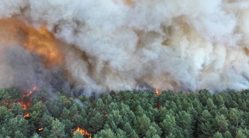 Canicule et incendies : Canadair mobilisés à Fontainebleau contre le feu.