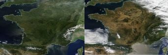 Canicule et incendies : Les chiffres de la sécheresse « exceptionnelle » en France en 2026