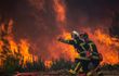 Canicule : Fin prévue vendredi sauf en Sud-Est, 1.900 ha brûlés à Fontainebleau.