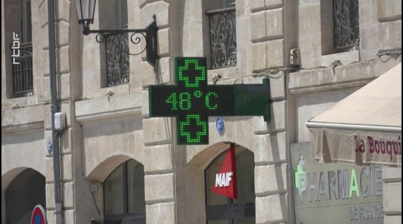 "Canicule : les pompes funèbres françaises face à une situation sans précédent"