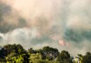 Canicule : « Un risque accru » d'incendies cet été ?