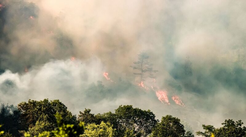 Canicule : « Un risque accru » d'incendies cet été ?