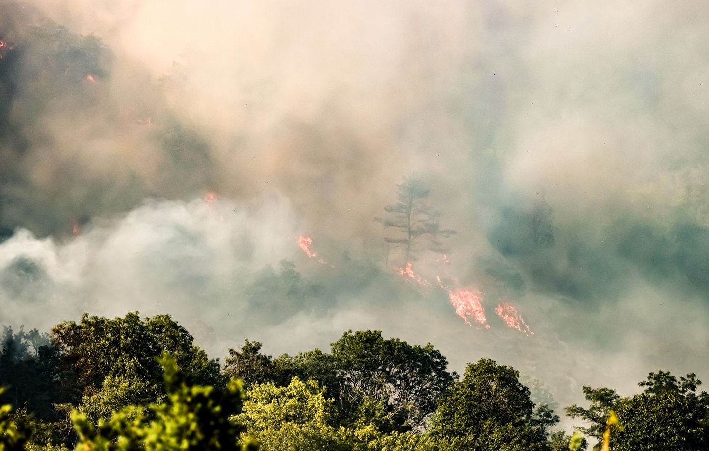 Canicule : « Un risque accru » d'incendies cet été ?