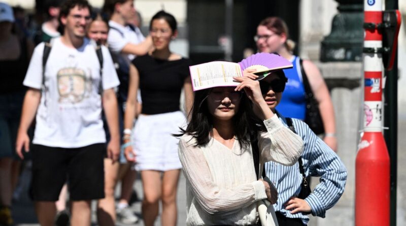 Chaleur en Belgique : canicule de juin entraîne surmortalité accrue