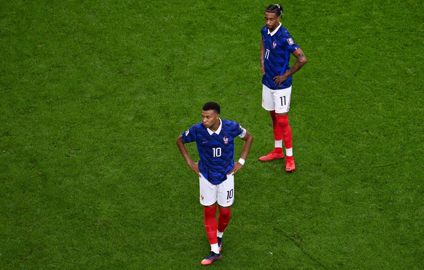 Coupe du monde 2026 : un fan des Bleus tatoue sa troisième étoile en 2022