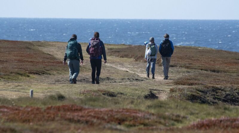 Décès du maire de Locmaria à Belle-Ile-en-Mer après altercation