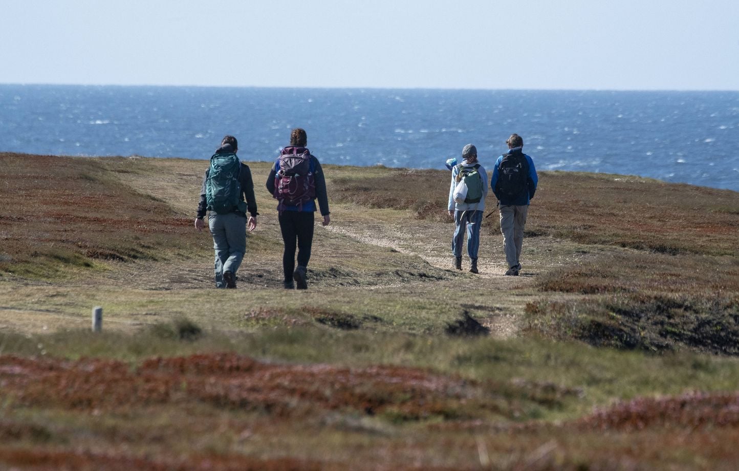 Décès du maire de Locmaria à Belle-Ile-en-Mer après altercation