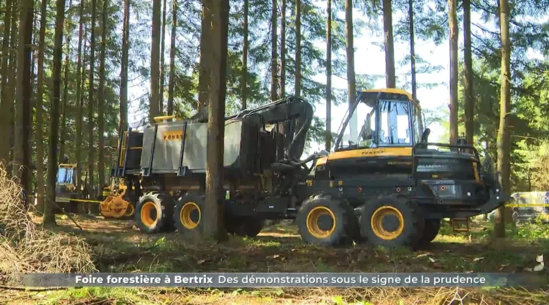 Demo Forest : vigilance accrue aux démonstrations de la foire de Bertrix à cause de la sécheresse