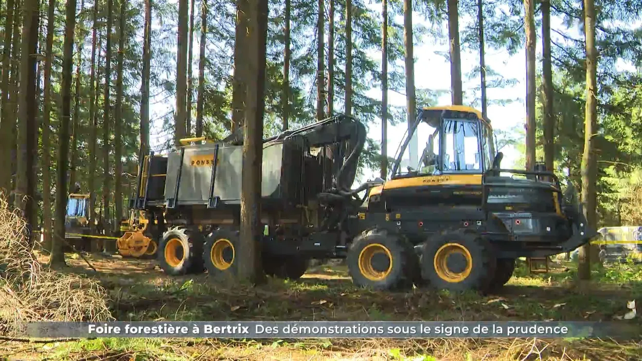 Demo Forest : vigilance accrue aux démonstrations de la foire de Bertrix à cause de la sécheresse