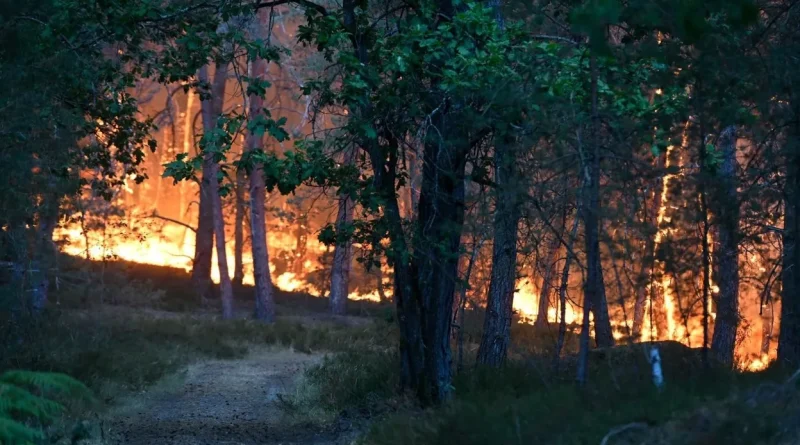 Deux Canadair déployés pour un incendie exceptionnel à Fontainebleau.