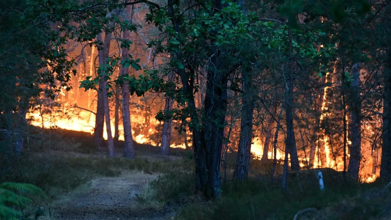 Deux Canadair déployés pour un incendie exceptionnel à Fontainebleau.