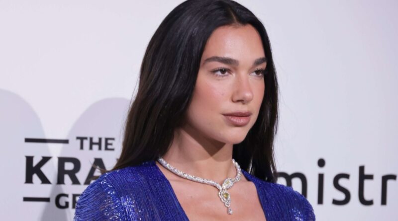Dua Lipa soutient les manifestants en Albanie contre le clan Trump.
