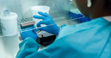 Ebola : Premier cas « guéri » et « sorti de l’hôpital » en France