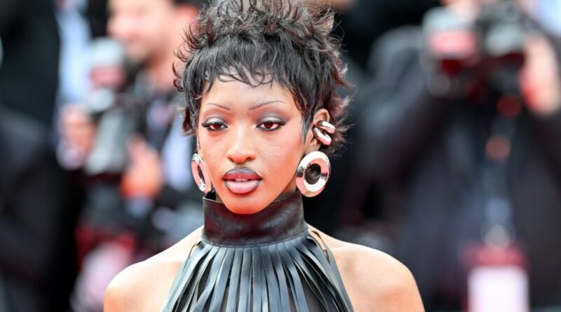 Ebony annule son concert au Delta Festival : explications fournies.