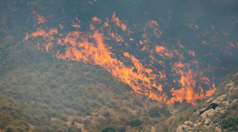 Espagne : Incendie à 100 km de Madrid, 12 000 hectares brûlés