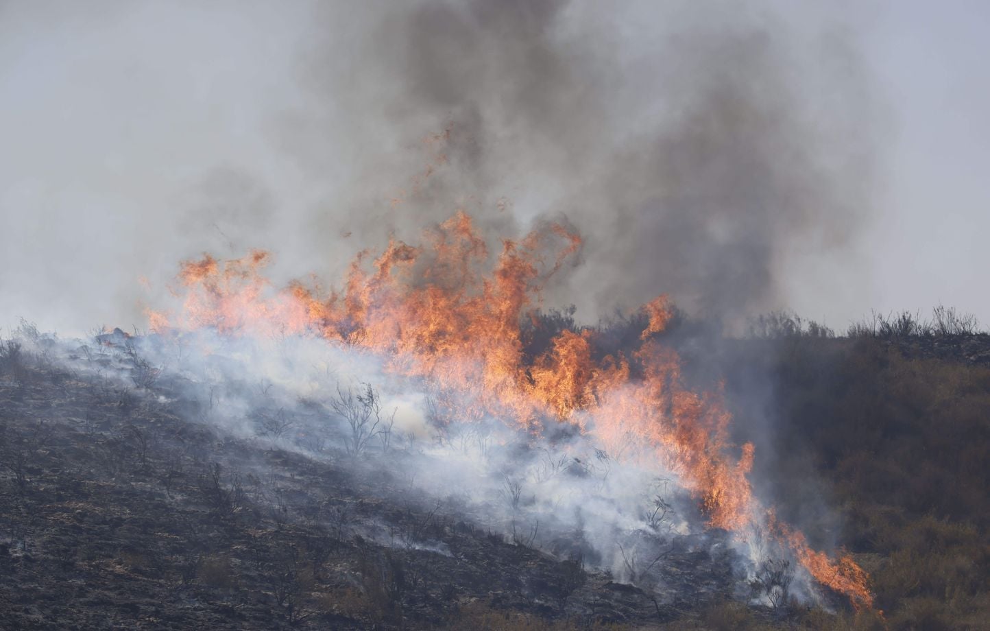 Espagne : Incendie majeur près de Saragosse, risque de propagation élevé