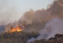 Espagne : Incendie près de la Costa Brava a détruit 2.200 hectares.
