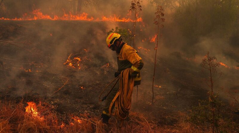 Espagne : Les incendies près de Madrid n'ont pas progressé rapidement.