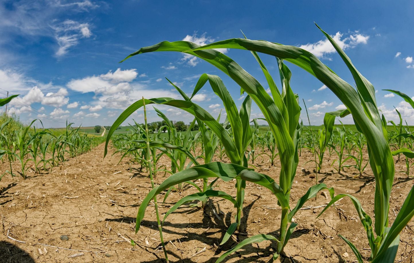 Etats-Unis : Un climatosceptique nommé par Trump pour un programme climatique