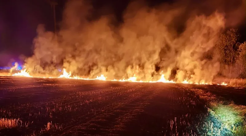 Feu de forêt à Viroinval, plus de 2 hectares détruits