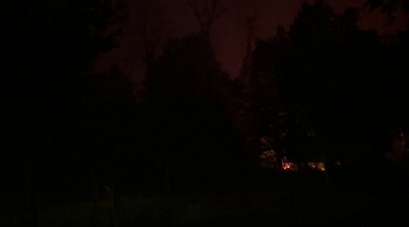 Forêt de Fontainebleau : 1200 hectares détruits, deux interpellations.