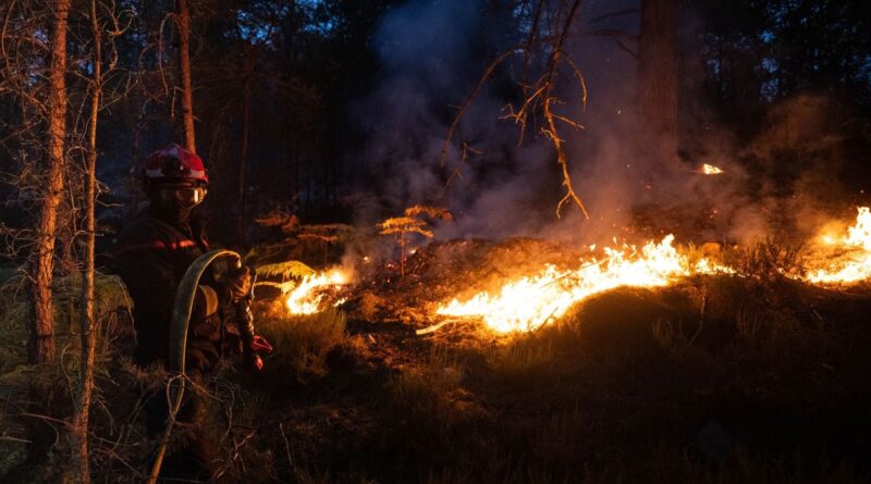 Forêt de Fontainebleau : Incendie principal causé par des travaux, deux ouvriers mis en examen.